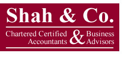 Shah & Co Logo